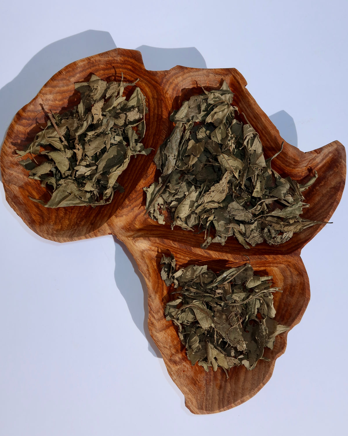 Tisane naturelle / Kinkeliba du Mali – 80 g