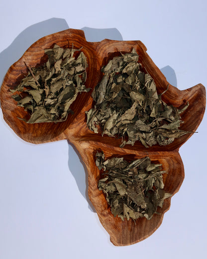 Tisane naturelle / Kinkeliba du Mali – 80 g